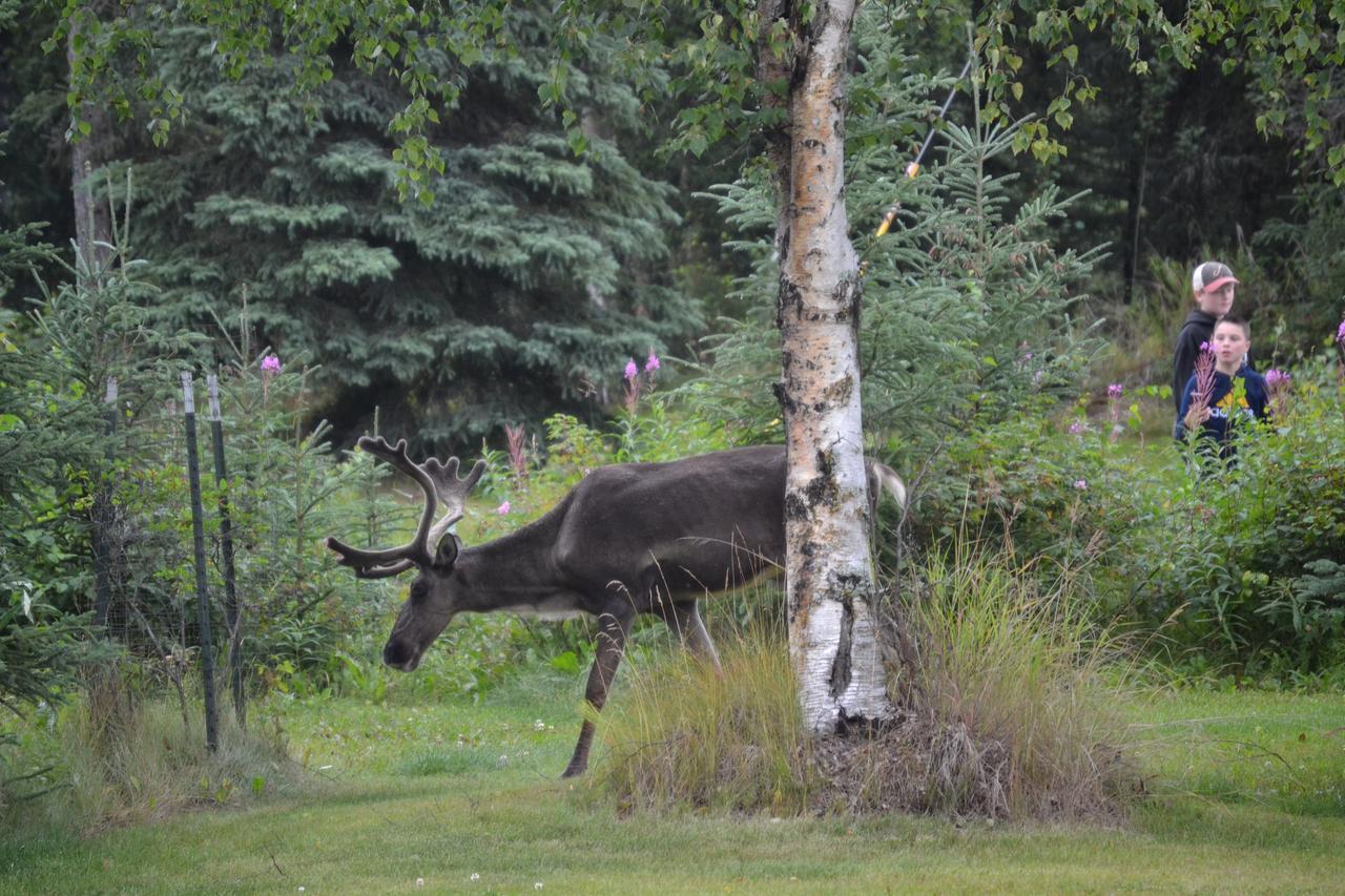 All Seasons B&B Kenai Extérieur photo